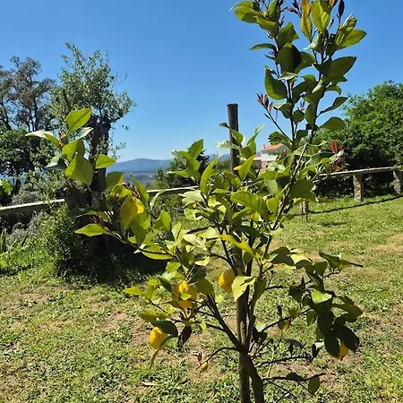 Villa As Casinhas Do Moinho *