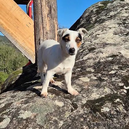 As Casinhas Do Moinho * Valenca