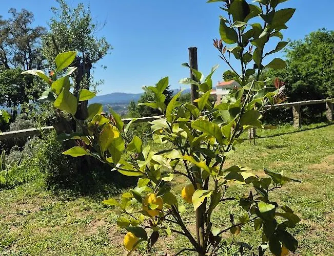 Villa As Casinhas Do Moinho *